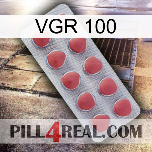 Vgr 100 18.jpg